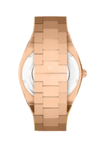 PAUL RICH AMBASSADOR'S ROSE - STEEL - Image 2