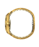 PAUL RICH LIMITED FROSTED STAR DUST EXOTIC FUSION GOLD - Image 2