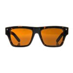 MSTR SG201TR - MSTR VS1 / TORTOISE WITH BROWN POLARIZED LENSES